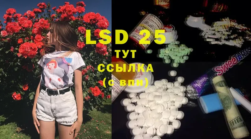 где можно купить наркотик  Петушки  Лсд 25 экстази ecstasy 